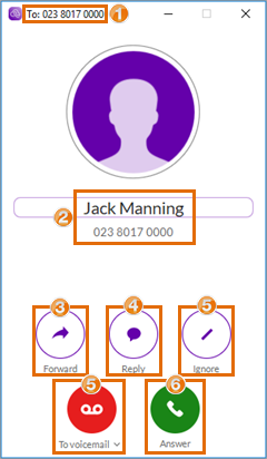 bt desktop app - pre call controls